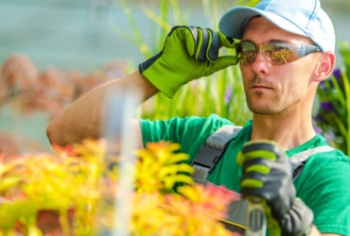 Những cách tốt nhất để thắp sáng lối đi trong vườn của bạn