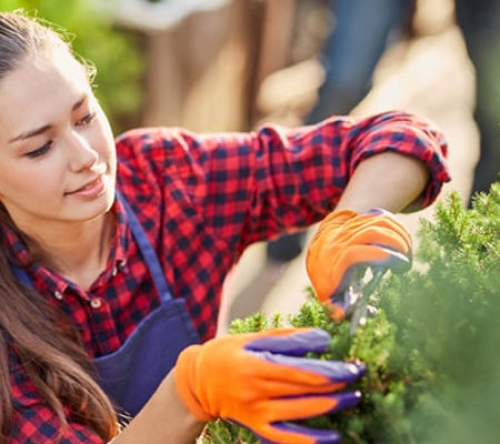 Con đường gạch